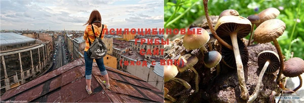 кокаин колумбия Абинск