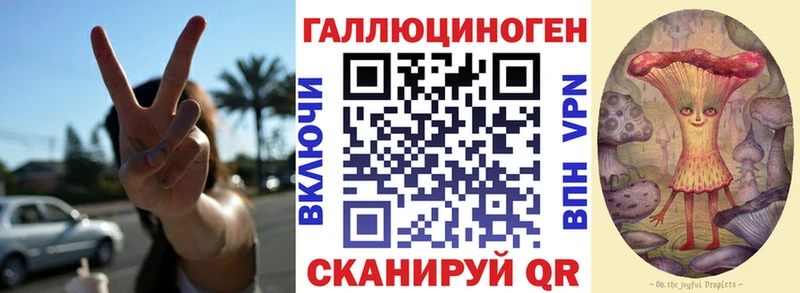 Псилоцибиновые грибы прущие грибы  Чекалин 