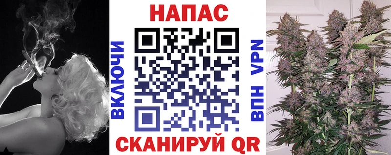 закладки  Чекалин  Конопля планчик 